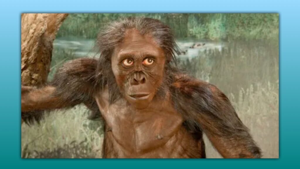 Anthropology