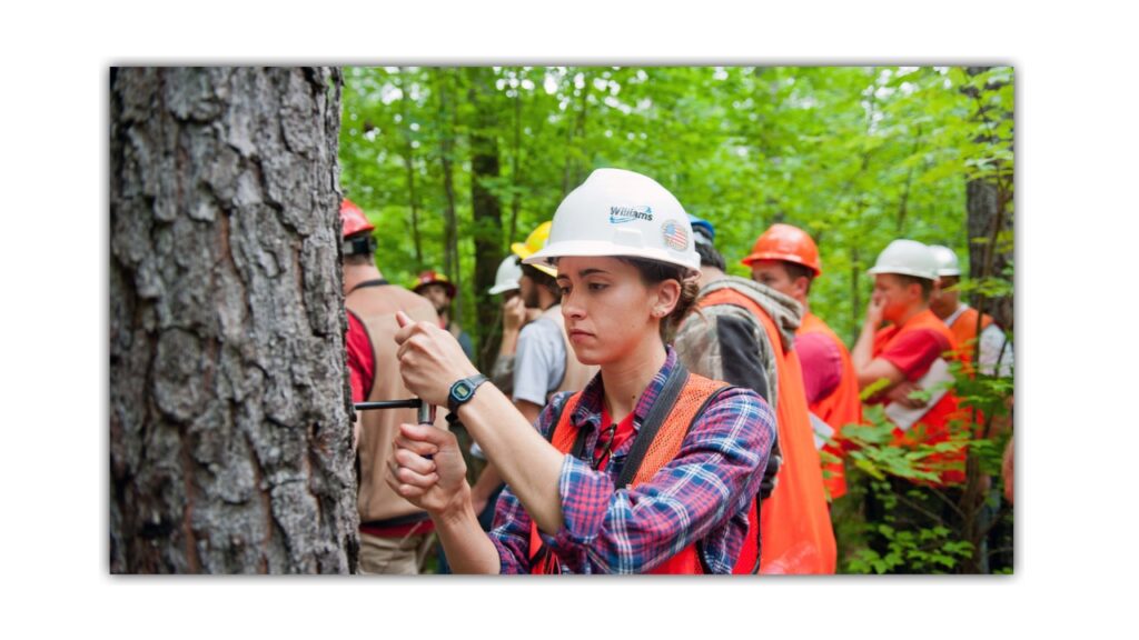 Bachelor in Forestry academic